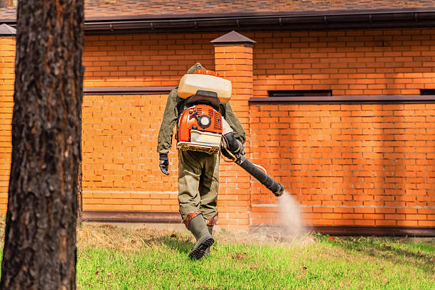 Trusted Mosquito Control service in Neenah, WI - Nex Pest Control